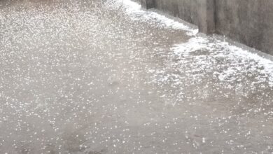 राजधानी देहरादून में पड़े जमकर ओले