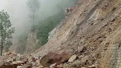 पहाड़ी से गिरे पत्थर की चपेट में आने से एक यात्री की मौत
