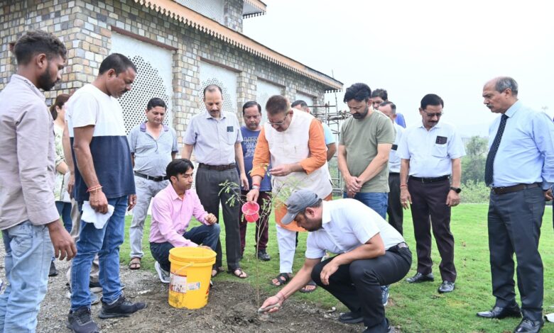 पेड़ों पौधों के कटान से सुख रहे जल स्रोत